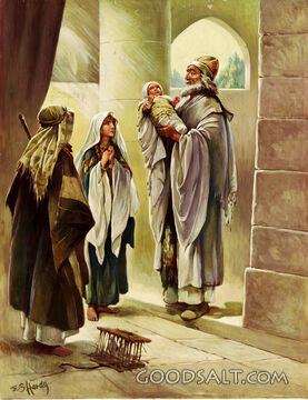Baby Jesus in the Temple