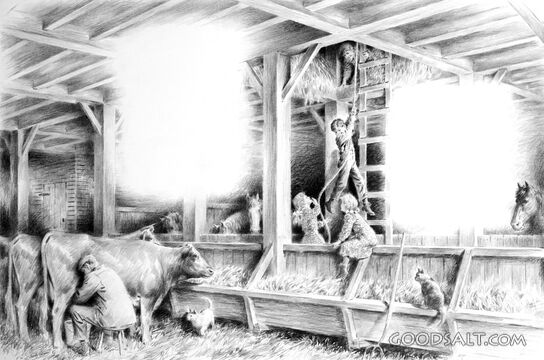 Barn Play