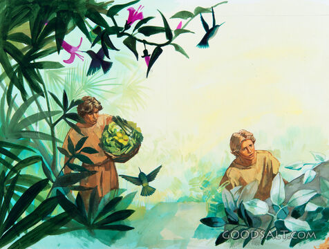 Cain and Abel
