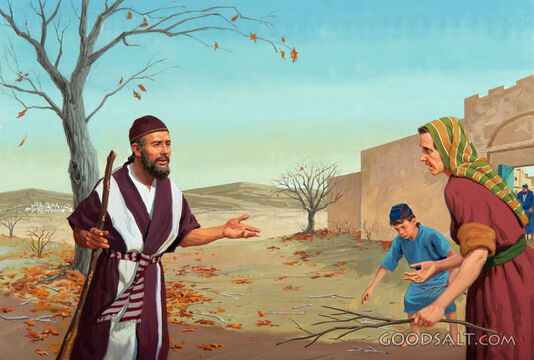 Elijah and the Poor Widow