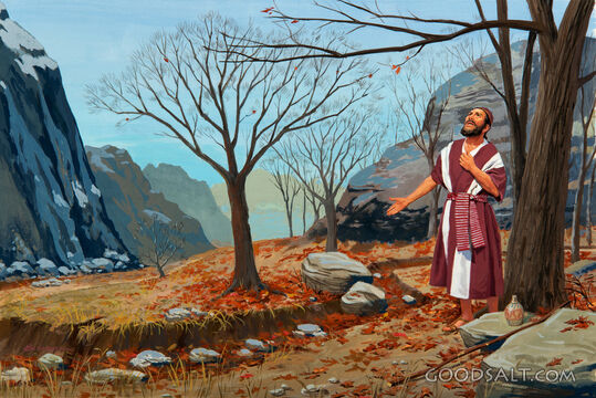 Elijah's Prayer