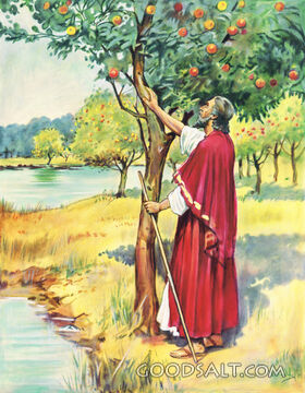 Ezekiel's Vision