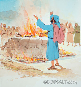 Fire for Elijah