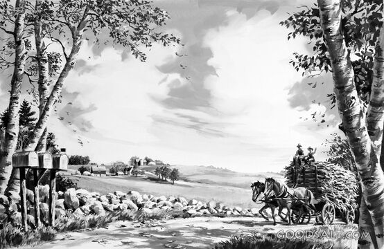 Harvest Load