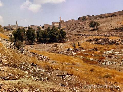 Hinnom Valley With Sultan's Pool From South