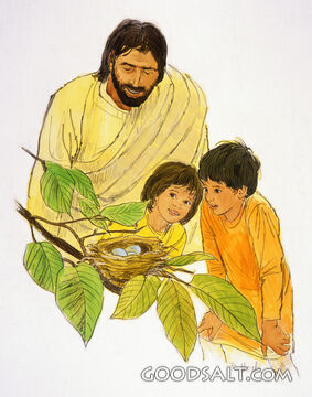Jesus and Children View Nest