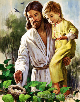 Jesus Enjoyed the Birds and Children