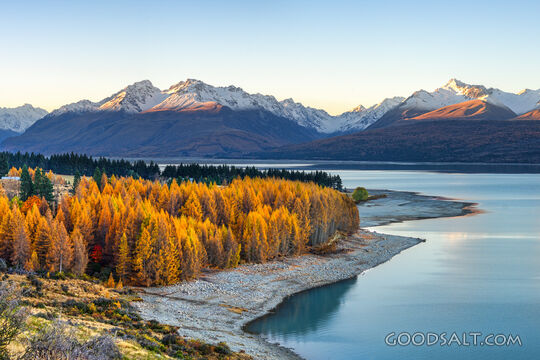 Larch tree inhabited bay sits ahead of a dominant mountain.