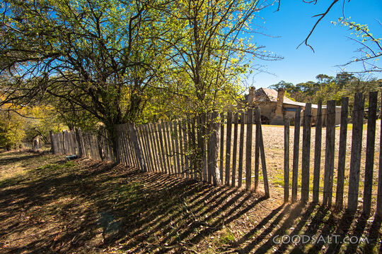 Old picket fence with lichen