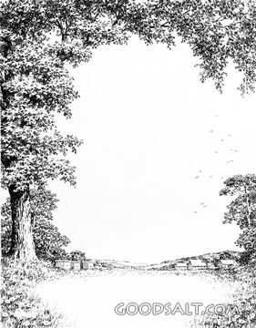 Quiet Meadow