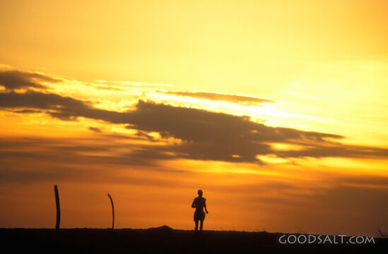 Running at Sunset