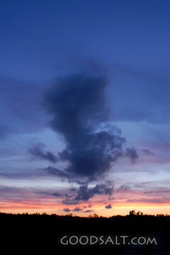 Running Cloud