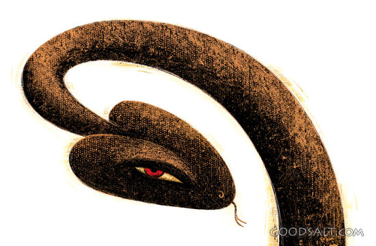 Serpent With Forked Tongue