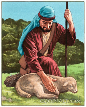 Shepherd Finds Lost Sheep