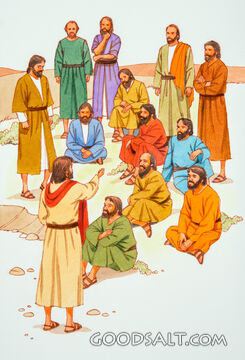 Teaching the Twelve