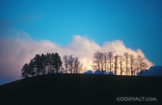 The Cloud