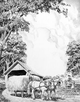 The Hay Harvest