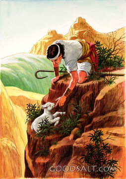 The Lost Sheep
