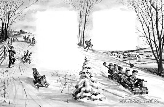 The Sledding Hill