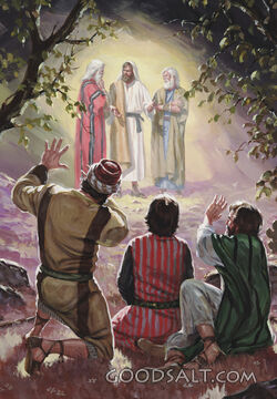 The Transfiguration