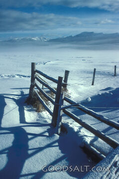 Winter Snow and Wooden Fence