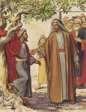 Zaccheus