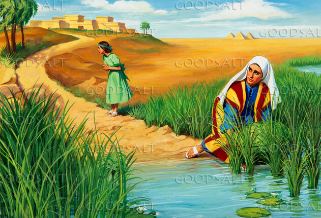 Baby Moses - Hidden in the Rushes