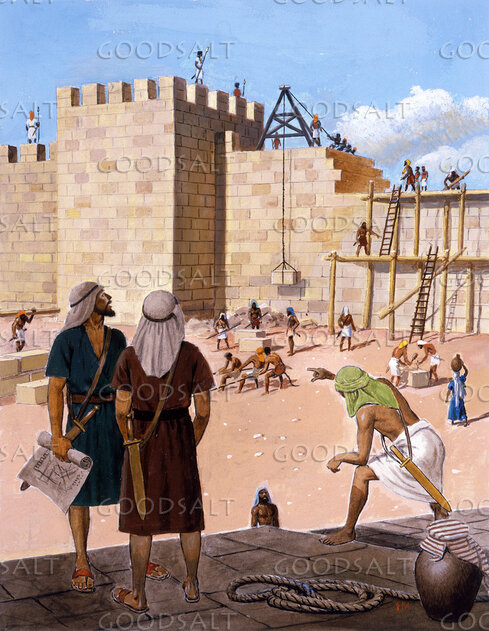 Cooperation Builds a Wall