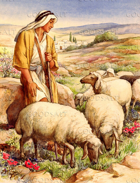 David the Shepherd Boy