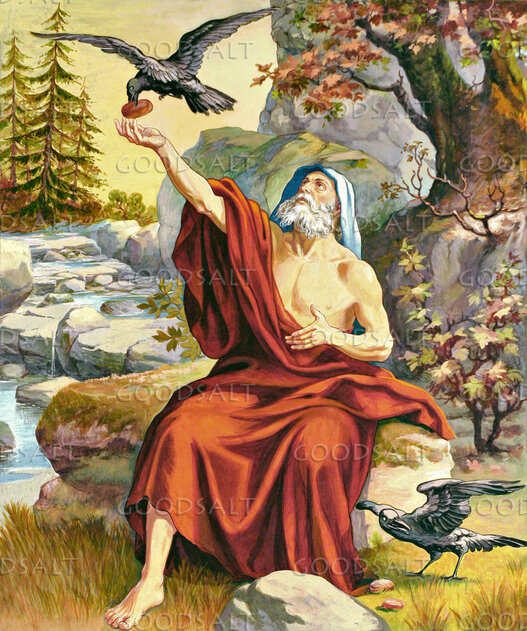Ilie şi Ravens