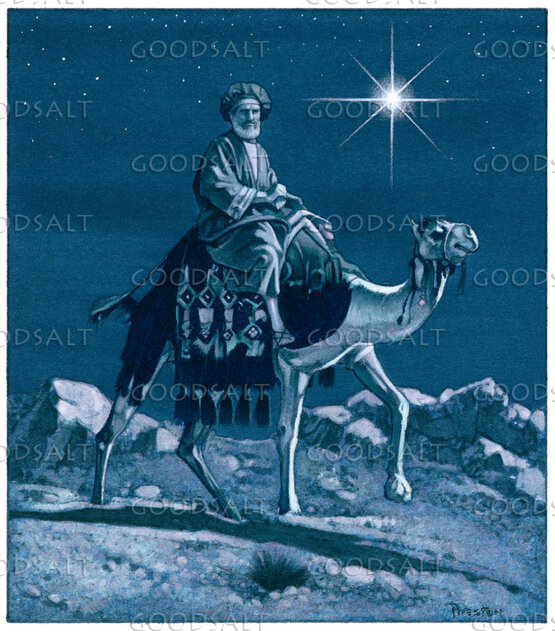 Magi Follow the Star