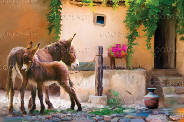 The Donkey and Her Foal