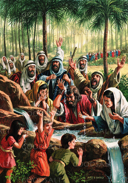Wells of Elim