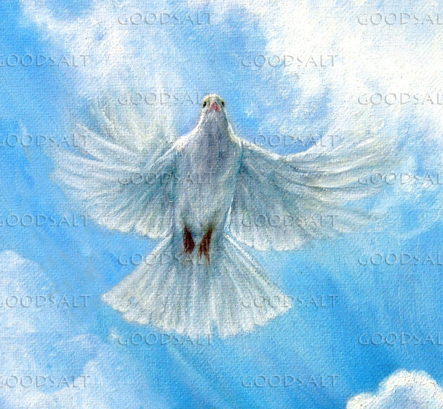 White Dove Flying