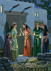 5 Virgins