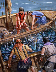 A Net Full of Fish