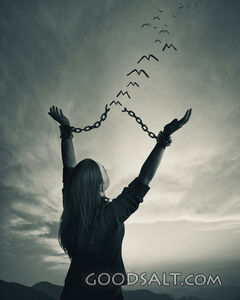 Chains and Freedom