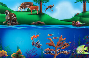 Creation of Animals