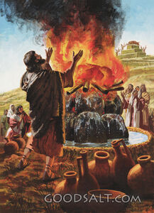 Elijah and the Prophets of Baal