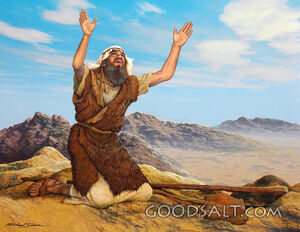 Elijah Prayed to God