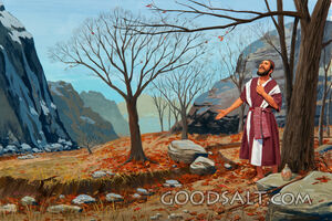 Elijah's Prayer