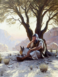God Took Care of Elijah