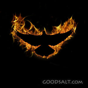 Holy Spirit With Fire
