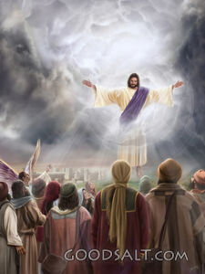 Jesus' Ascension