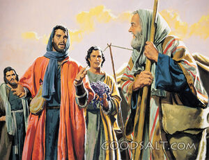 Joshua and Caleb Show Trust in God