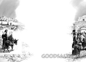Journey to Bethlehem