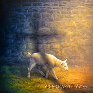 Lamb and cross shadow