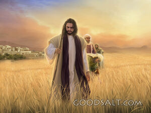 Lord of the Sabbath