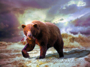 Medo-Persia Bear