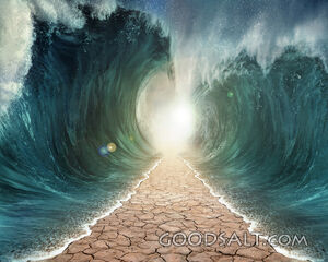 Parted Sea